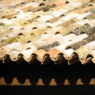 Tuiles anciennes 22 x 45 cm